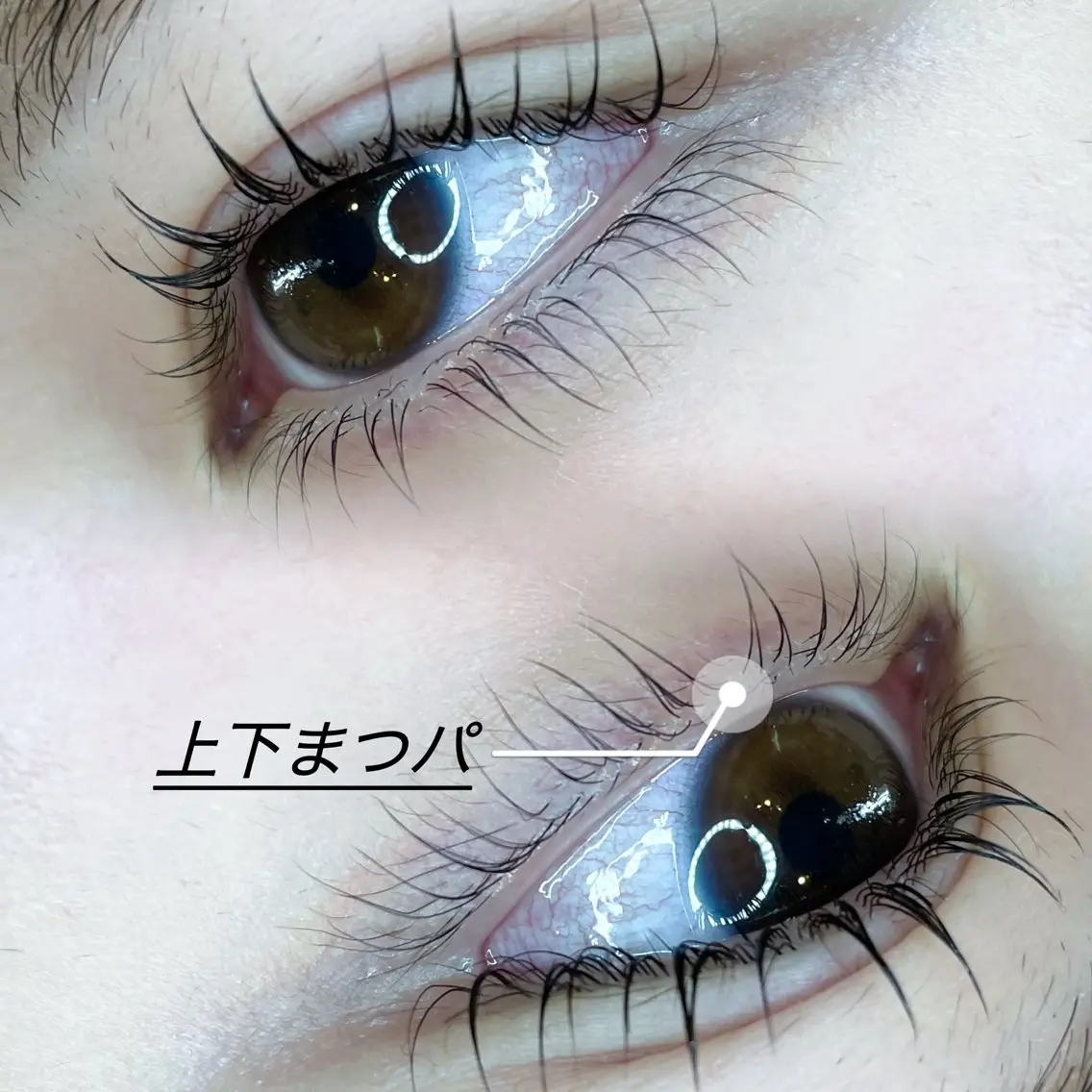🌹まつげパーマ上下🌹の写真