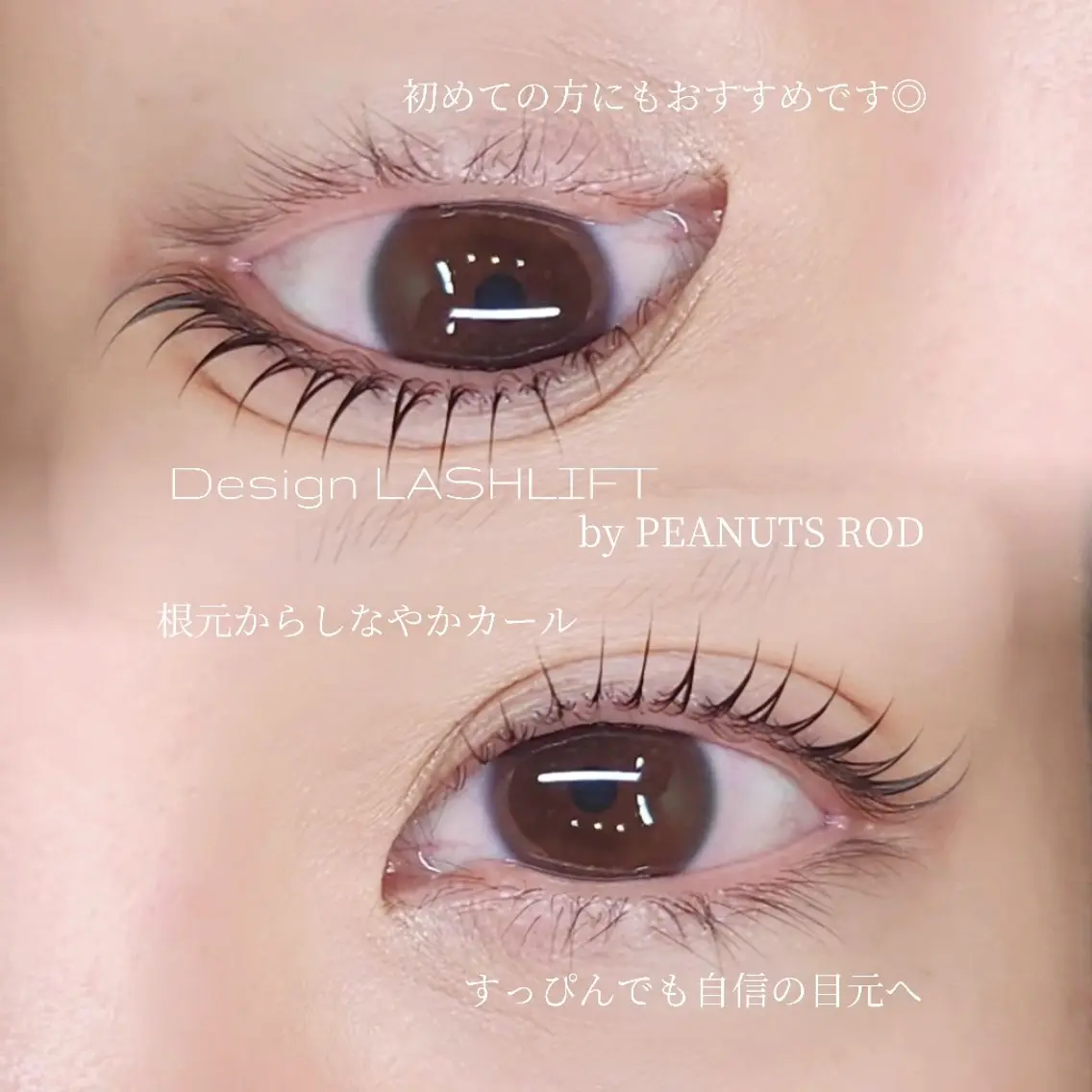【限定📸モニター価格】LASH LIFT/似合わせまつげパーマ🫧 アイシャンプー コーティング込みの写真