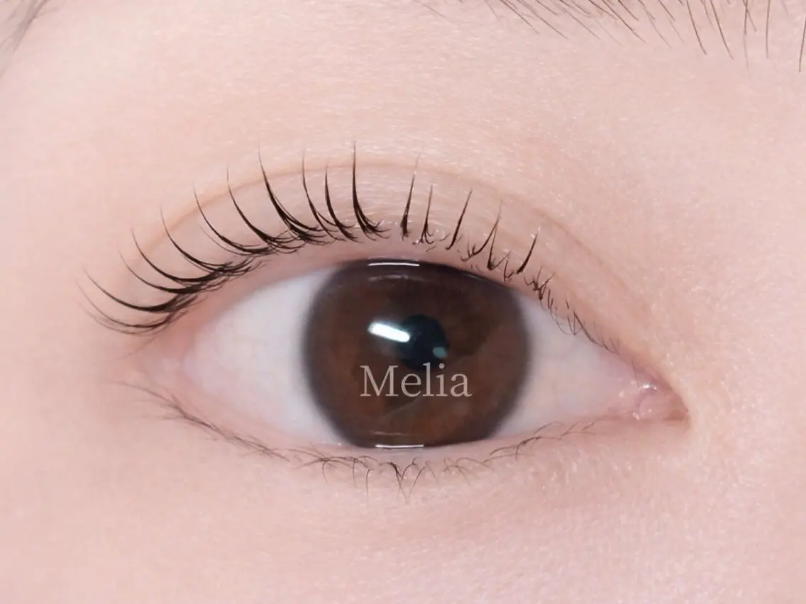 マツエク・マツパ Melia Chieのマツエク・マツパデザイン