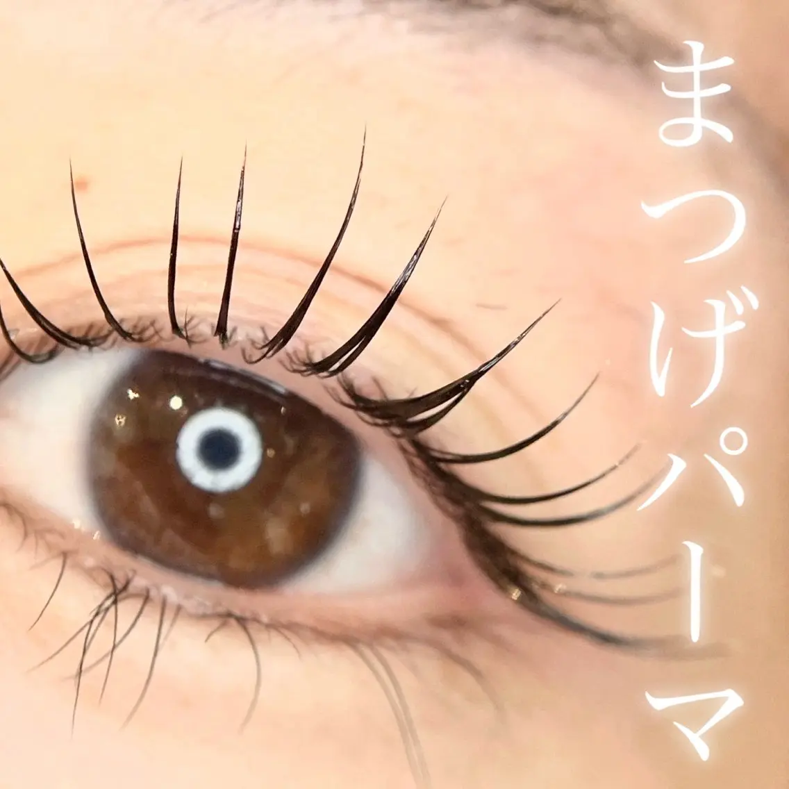 👑人気No.1 まつげパーマ*束感仕上げ可能♪(※ご新規様に限りエクステオフ無料)の写真