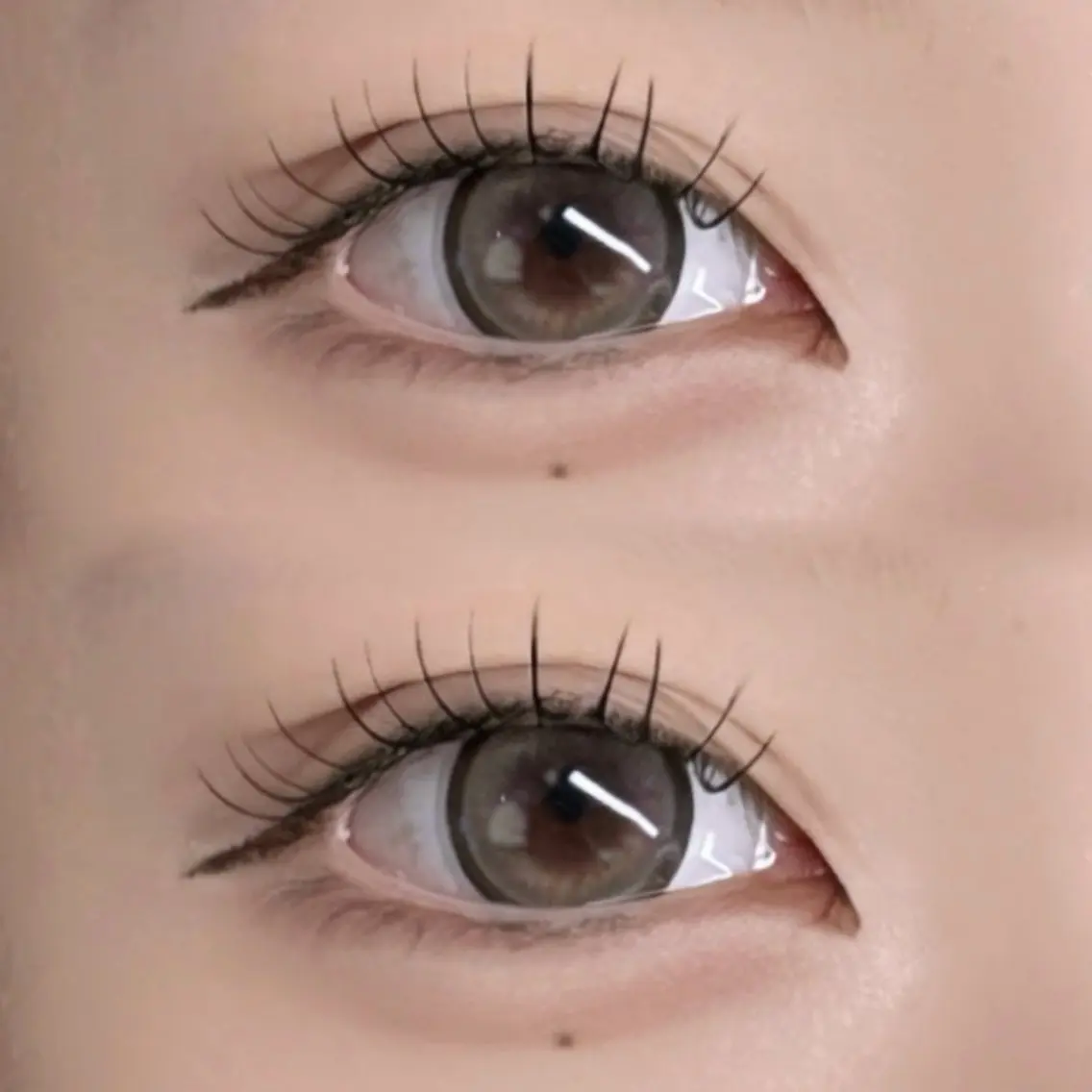 【最新技術】&healthyアンドヘルシーLEDフラットラッシュ120本の写真
