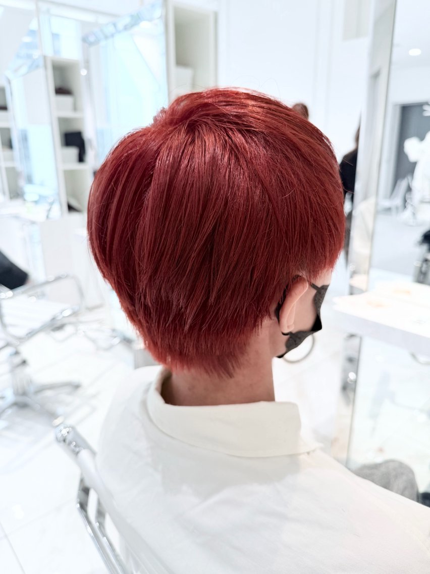 ショート カット ヘアカラー ブリーチなし艶カラー 東家のヘアスタイル