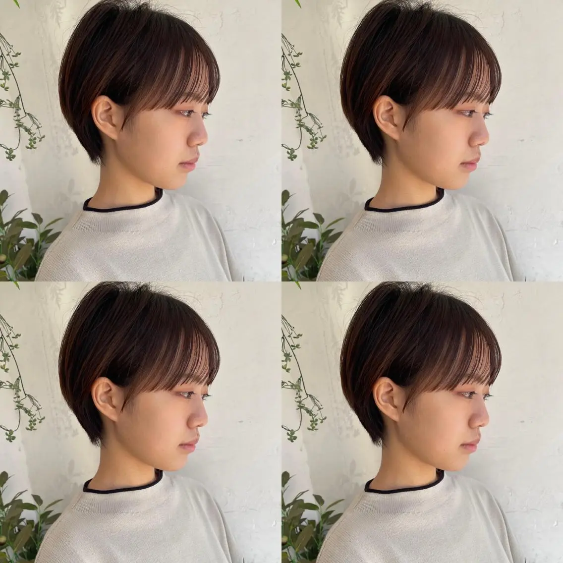 ショート カラー ショートボブ ハンサムショート 丸みショート デザインカラー ハイライトカラー カット ヘアカラー トリートメント 京都大人女性ショート 徒歩1分/秋山のヘアスタイル
