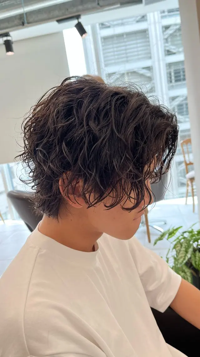 ミディアム パーマ メンズ 🏆メンズヘア特化 🥇代表りんぺーのヘアスタイル