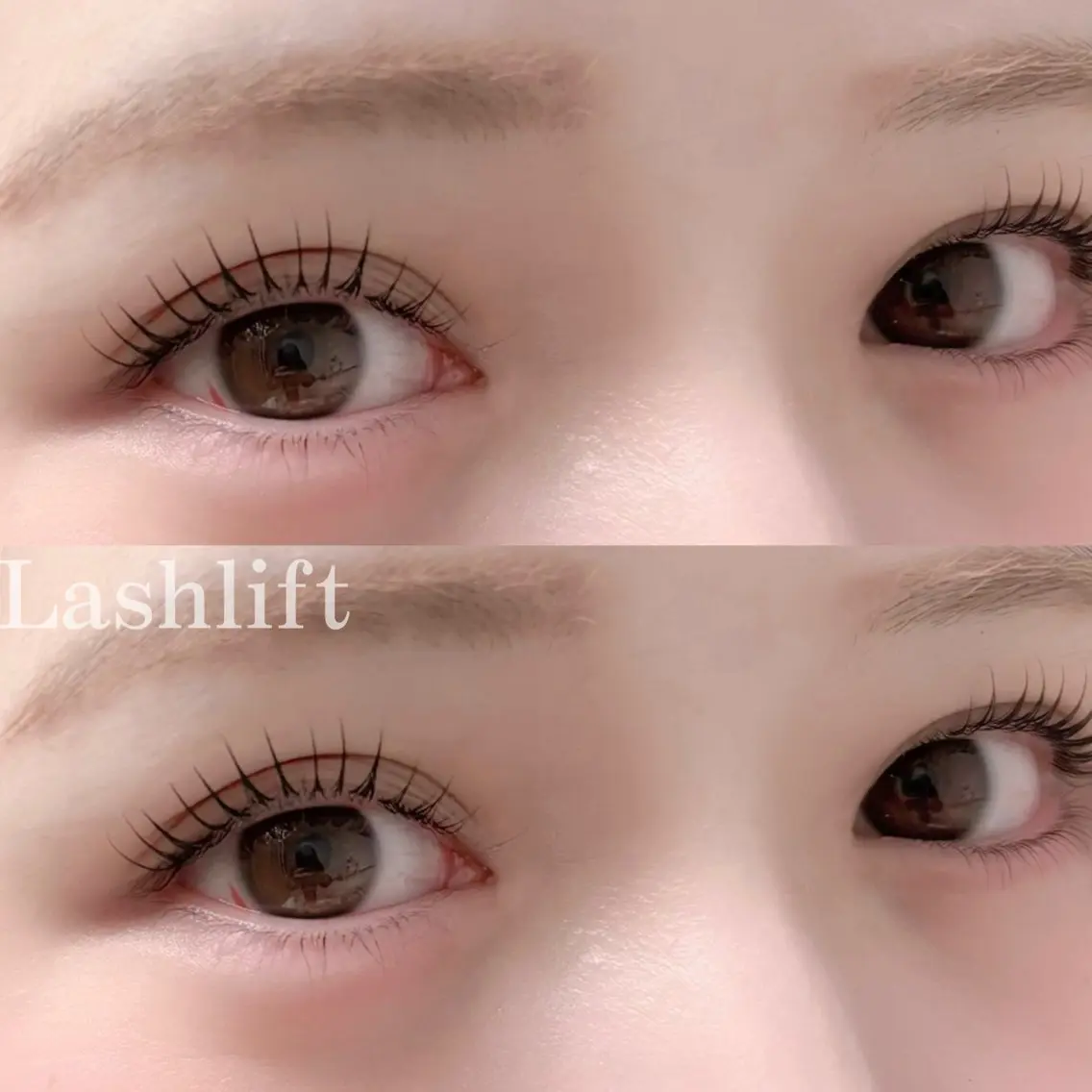 マツエク・マツパ eyelash "Koa"🕊🤎のマツエク・マツパデザイン