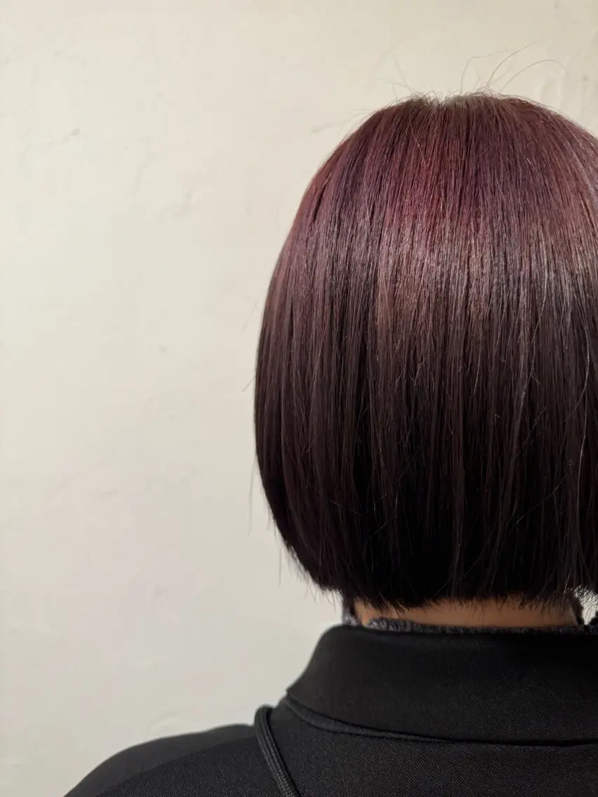 ショート カラー 佐藤 百葉のヘアスタイル
