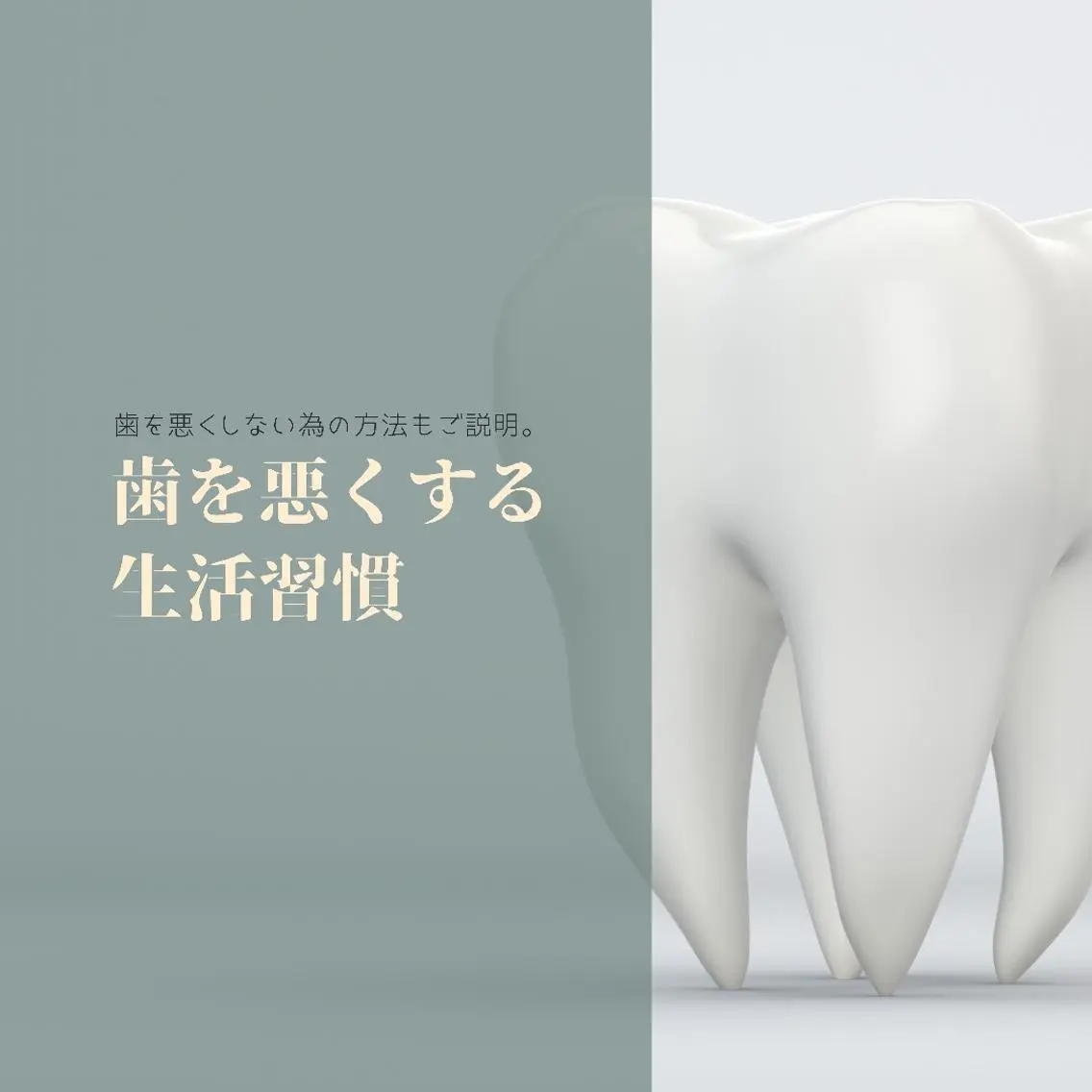 その他 ライトビューティー 恵比寿店のその他イメージ