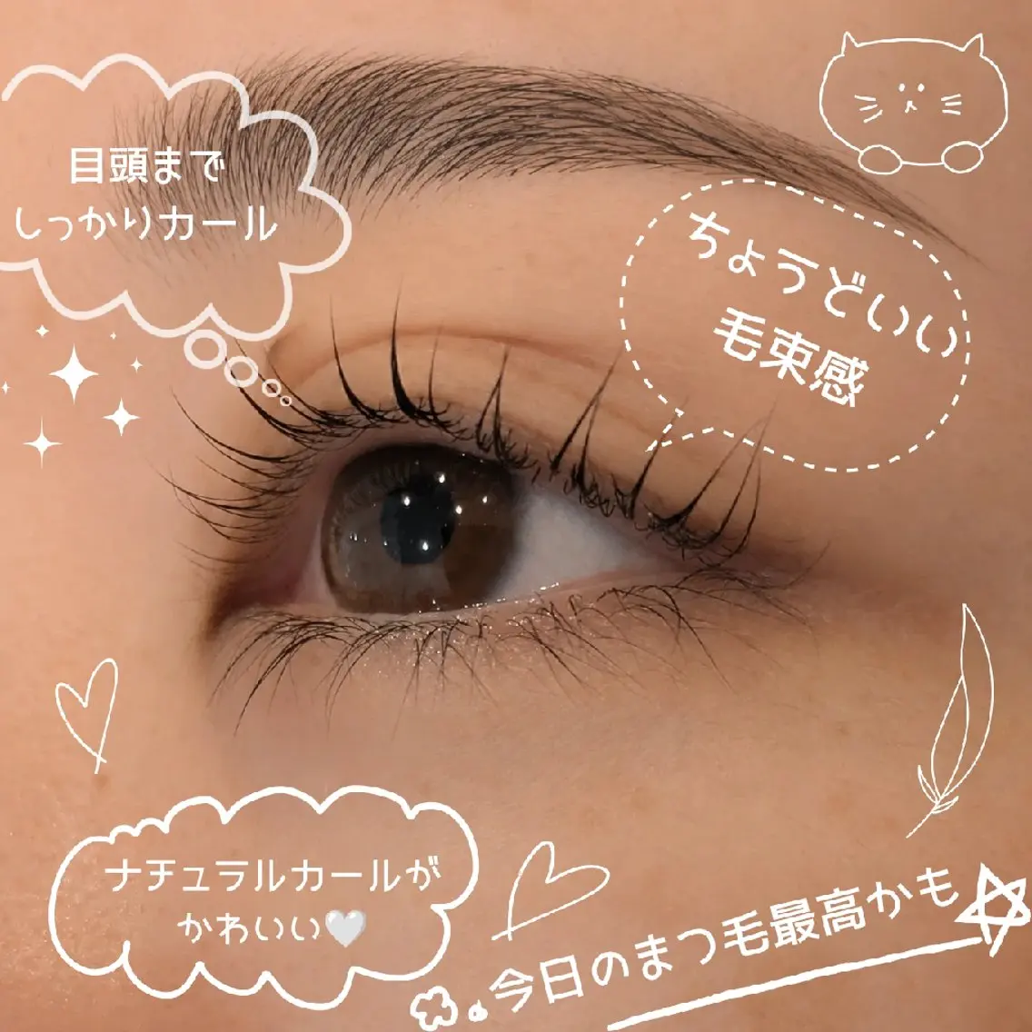 【お得コース】ラッシュリフト(コーティング付き)+前髪カットの写真