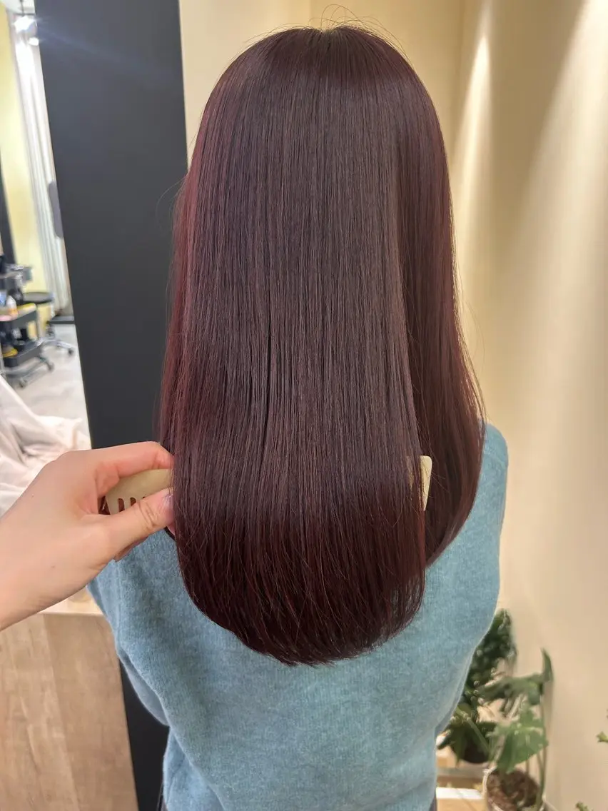 ロング カラー ブリーチ ボルドーカラー ブリーチなしカラー レッドカラー カット ヘアカラー トリートメント hubhair レイヤー/透明感のヘアスタイル
