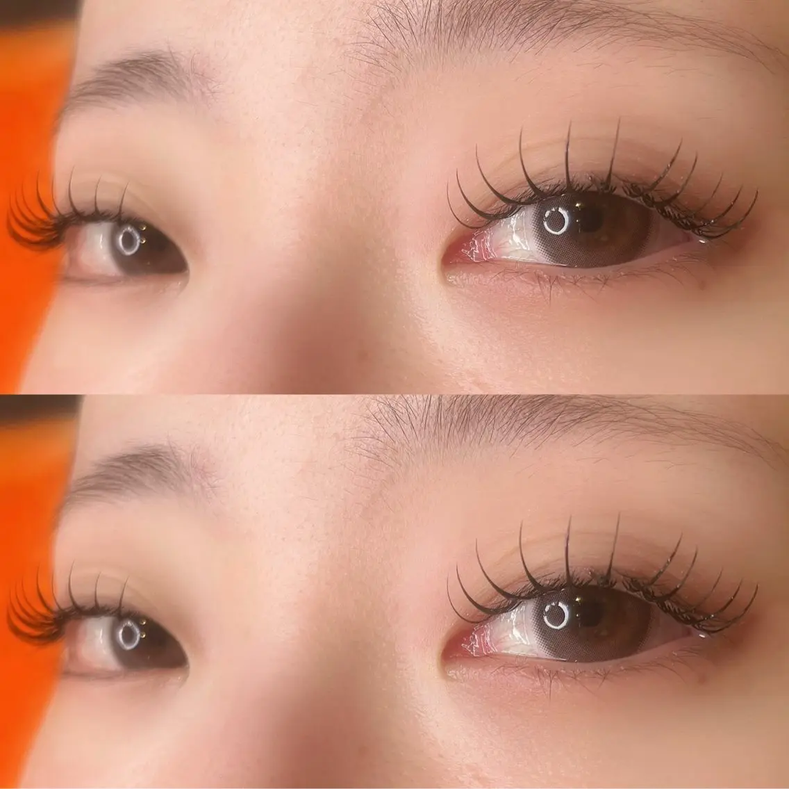 フラットラッシュ 100本【オフ有り可】の写真