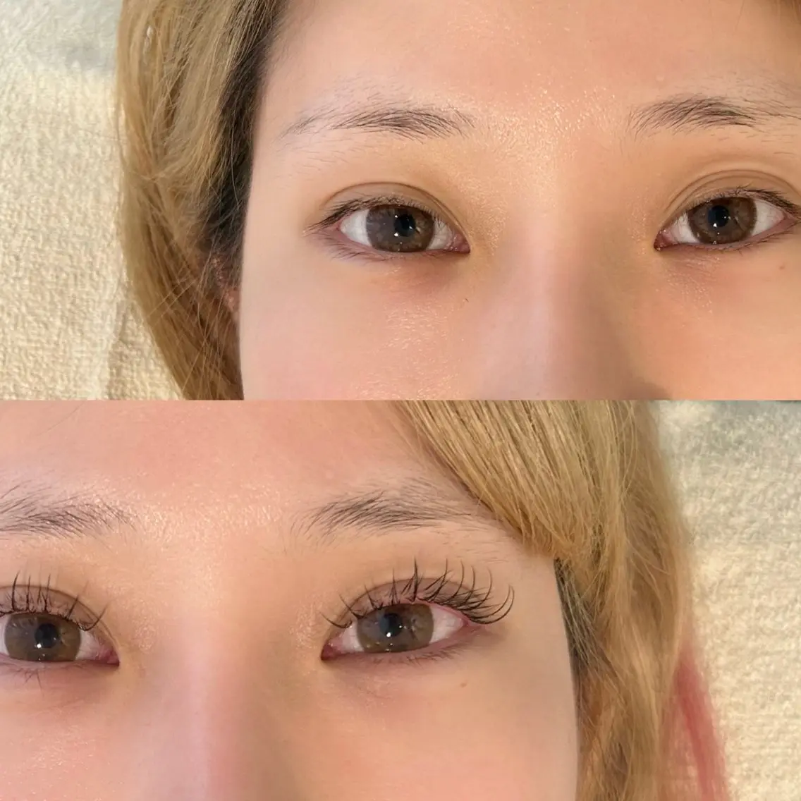【LEDまつエク】フラットマットラッシュ80本の写真