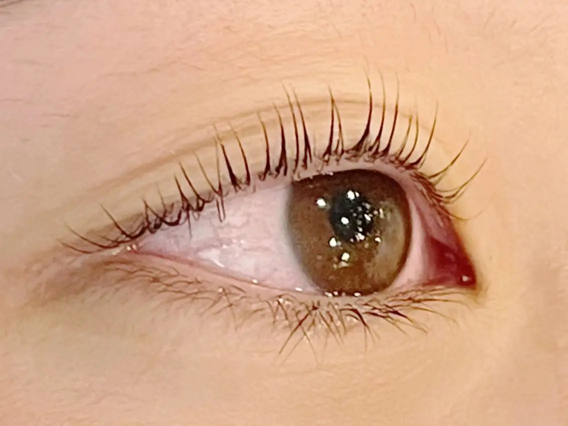 まつげパーマ　仕上げコーティング付きの写真