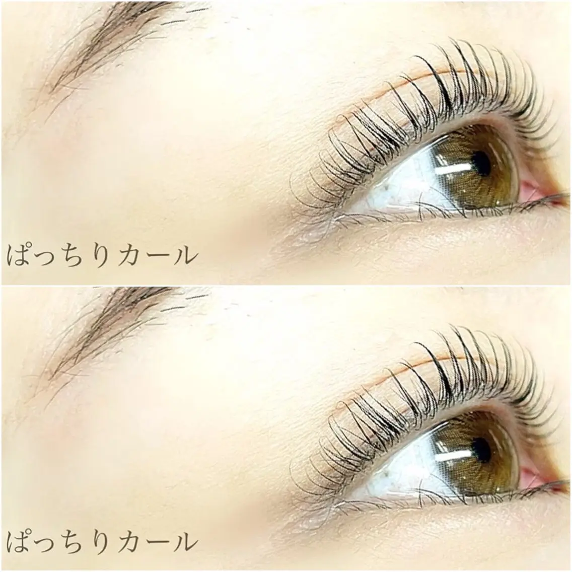 マツエク・マツパ eyelash- r🌹の眉毛・アイブロウイメージ