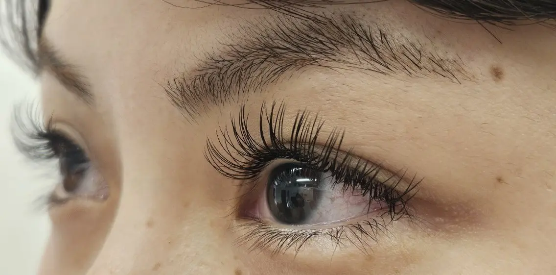 マツエク・マツパ Cカール Eyelash  Seek のマツエク・マツパデザイン