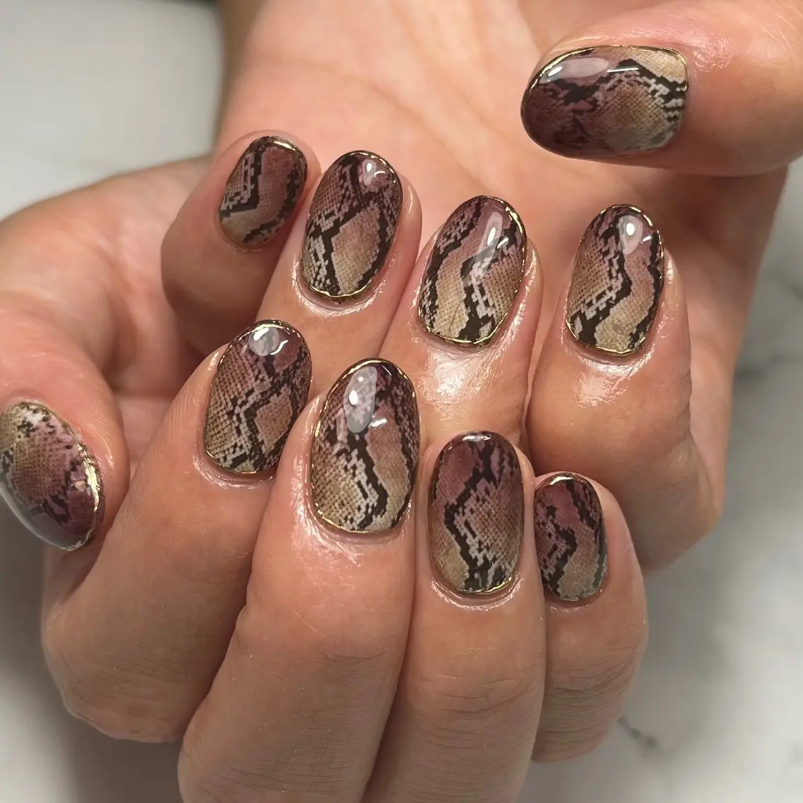 ネイル アニマル柄 ブラウン ワンカラーネイル ハンドネイル NAIL NOWのネイルデザイン