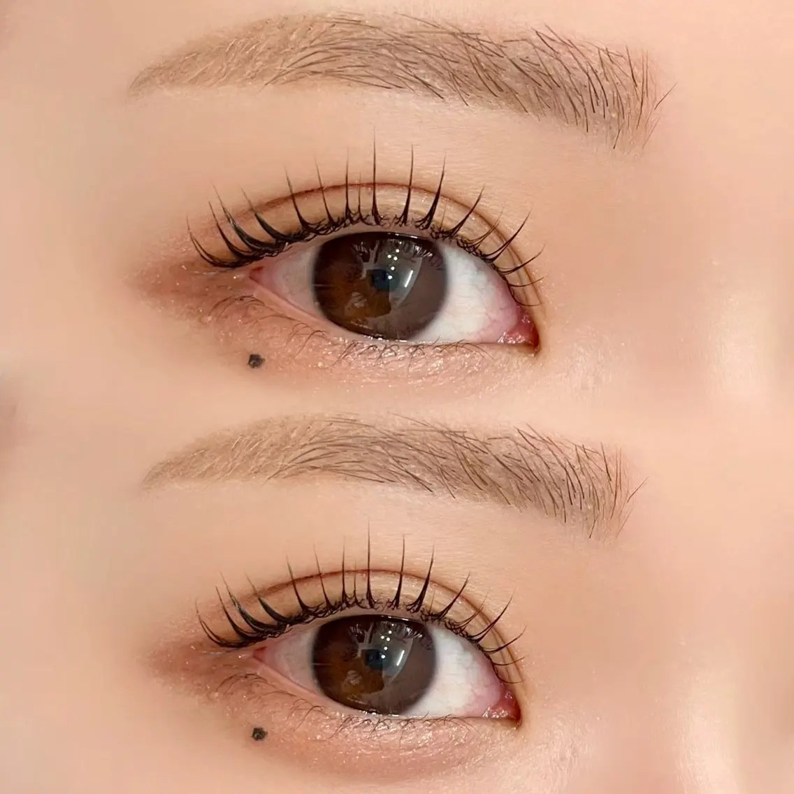 3回目まで可能‼️次世代まつげパーマ👀✨➕眉毛ワックススタイリング《wax+間引き》の写真