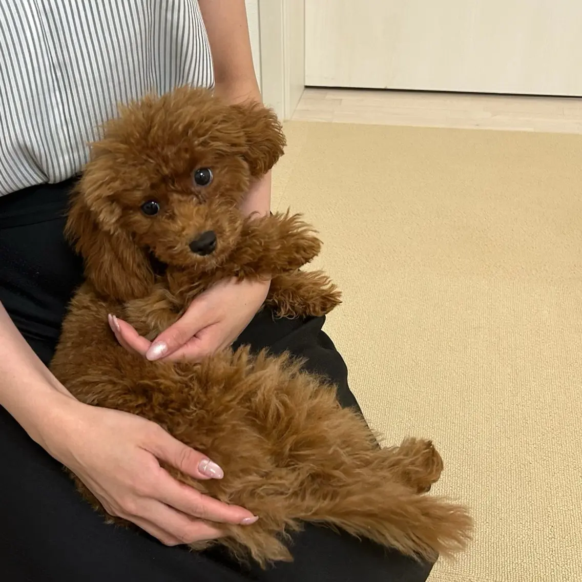 ネイル その他 Uchida Mayunaのその他イメージ