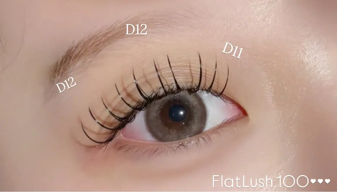 フラットラッシュ​〜​120本の写真
