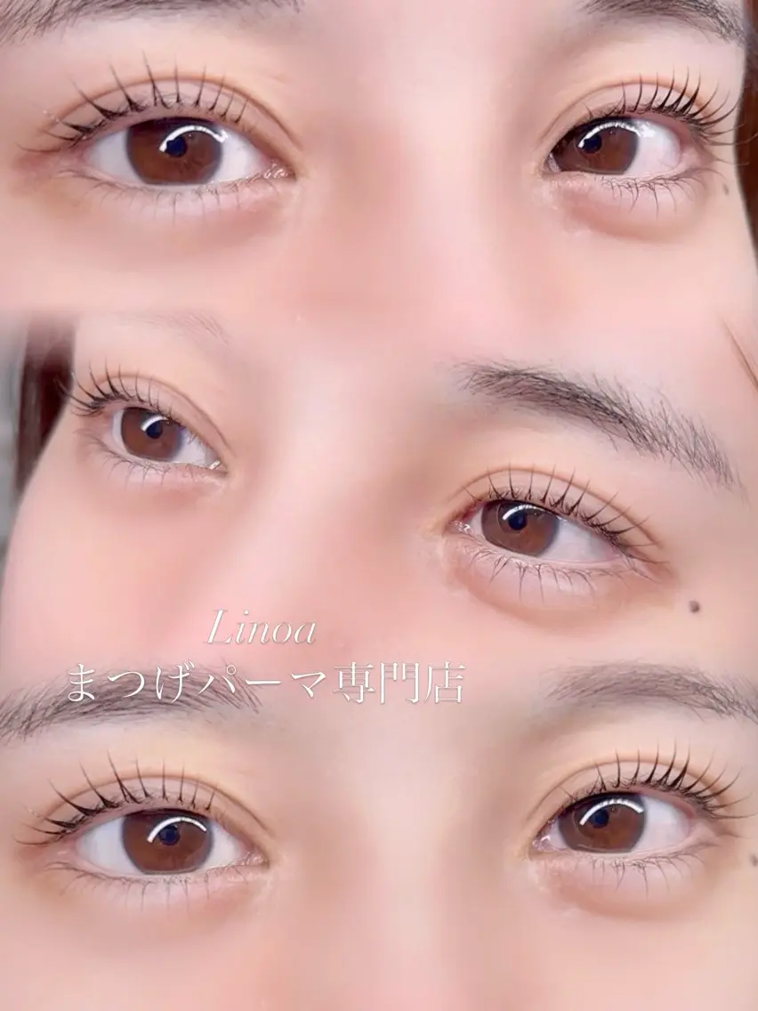 【当店初めての方】ミニモ特別価格👀上下まつげパーマ👀🤎の写真