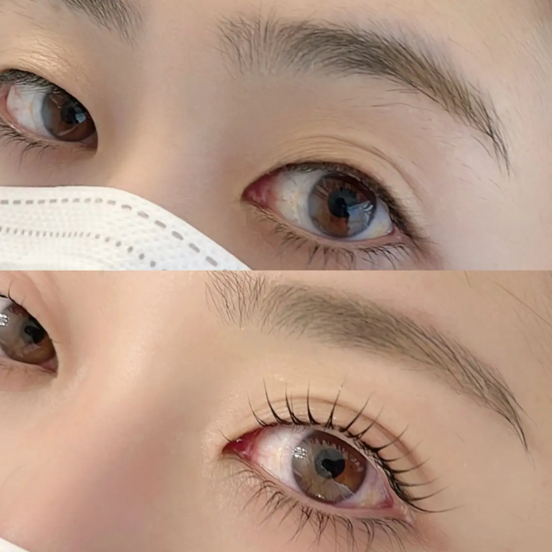 アイブロウ LELEGANCE eyelashの眉毛・アイブロウイメージ