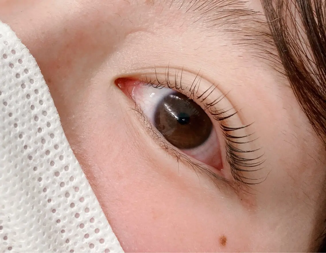 マツエク・マツパ マツパ まつ毛パーマ専門& men's眉AYAの眉毛・アイブロウイメージ