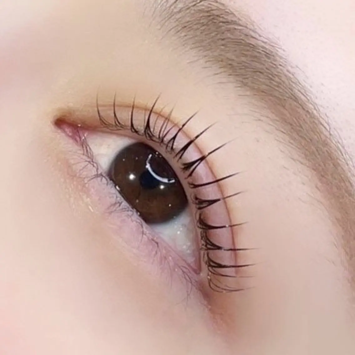 【5月限定】パリジェンヌラッシュリフト🌺4,530円の写真