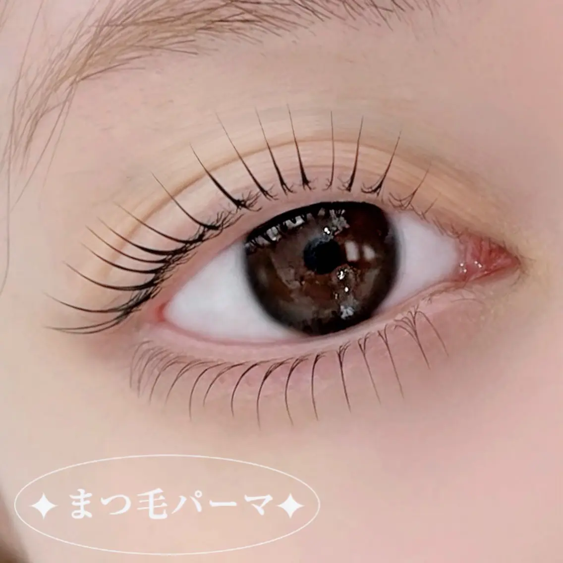 潤いまつ毛パーマの写真