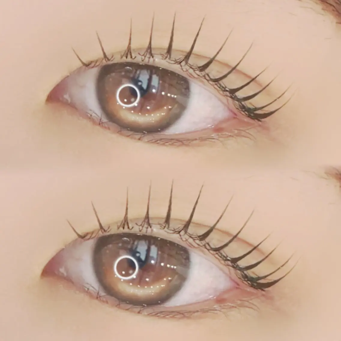 マツエク・マツパ ナチュラル パリジェンヌラッシュリフト まつげパーマ マリーテレジア🌼 えまのマツエク・マツパデザイン