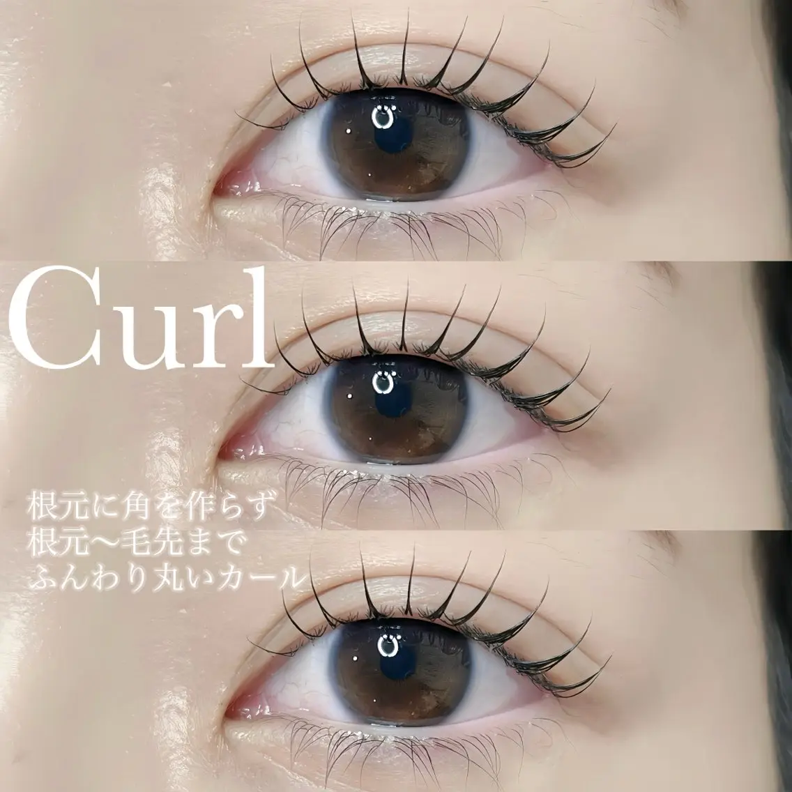マツエク・マツパ LASH muse .のマツエク・マツパデザイン
