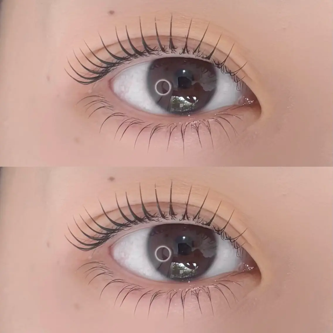 ꒰ 上下まつ毛パーマ ꒱ 束感仕上げ付き🩶の写真
