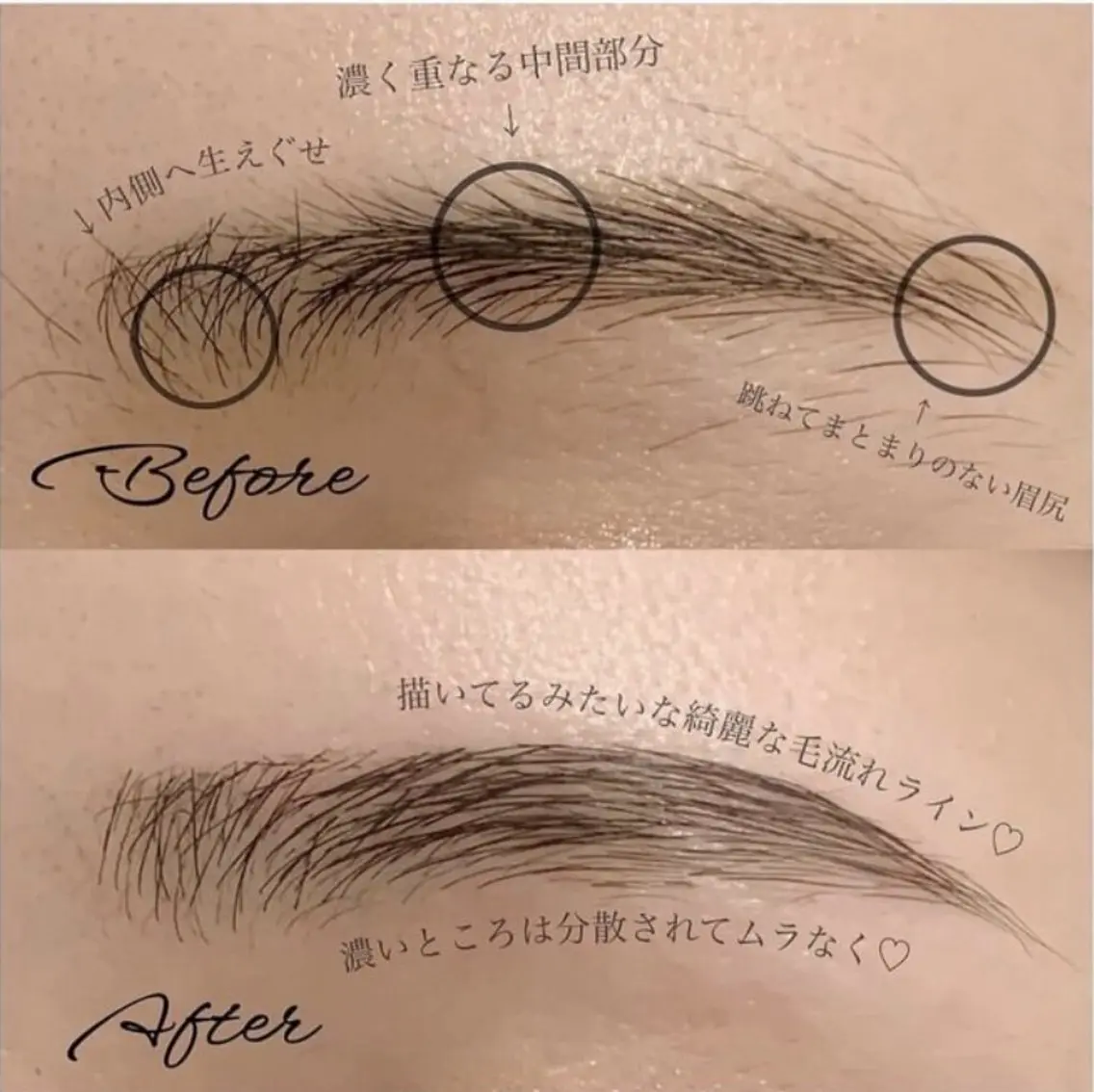 《毛流れ矯正》 ご新規様限定！ハリウッドブロウリフト+美眉WAXの写真