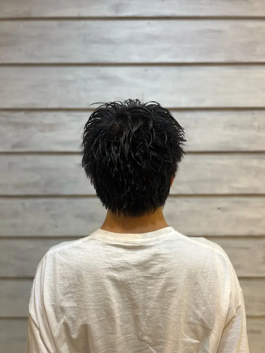 ショート 大和 雪村のヘアスタイル