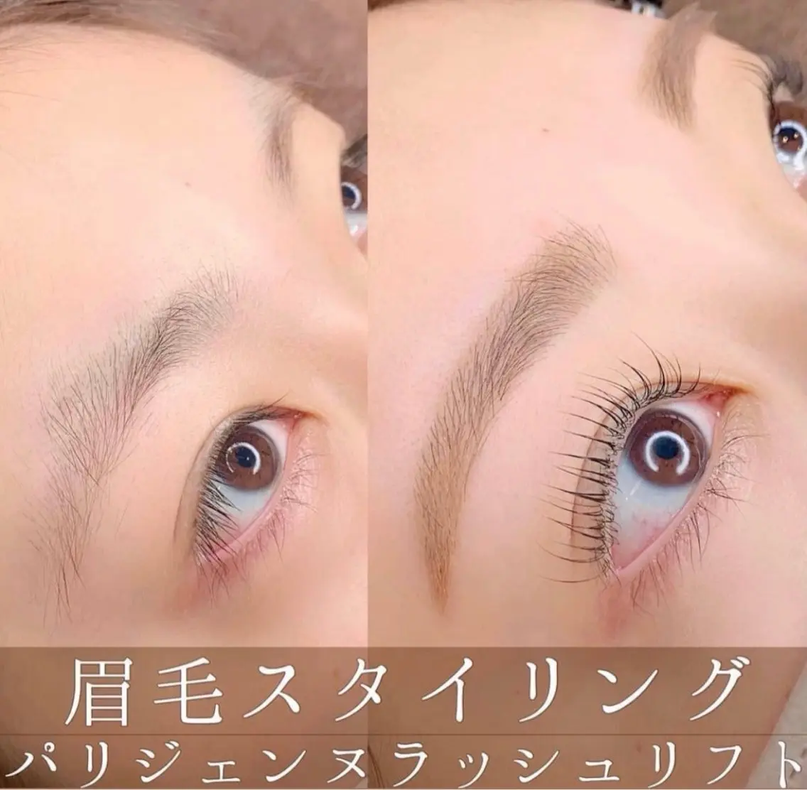 《平日限定》パリジェンヌラッシュリフト×美眉ワックスセット🦋高保湿トリートメント付き🦋¥8200の写真