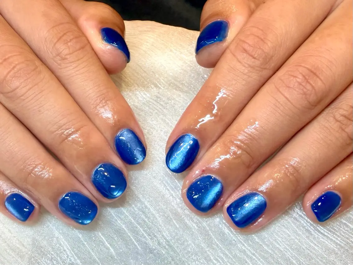ネイル ブルー マグネットネイル 🤍大人シンプル🤍 船橋駅近 nailのネイルデザイン