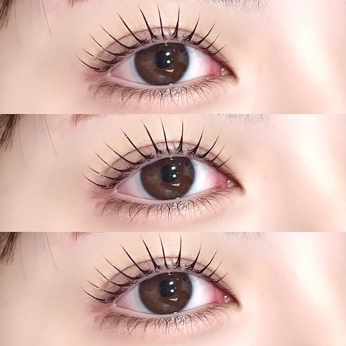 【 🎀5月限定】パリジェンヌラッシュリフト or まつげパーマ👀🩷の写真