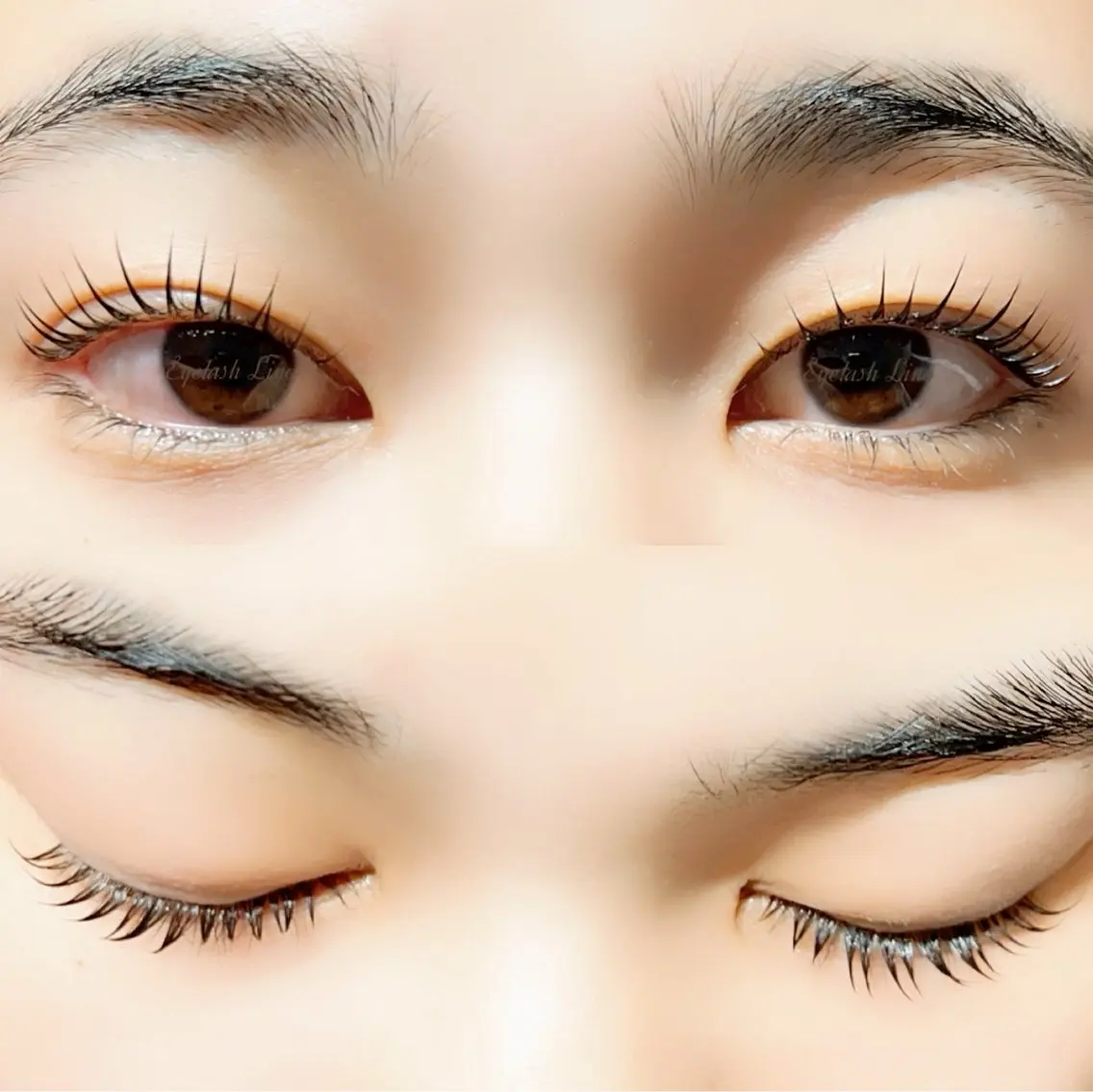 マツエク・マツパ パリジェンヌラッシュリフト Eyelash Linoのマツエク・マツパデザイン