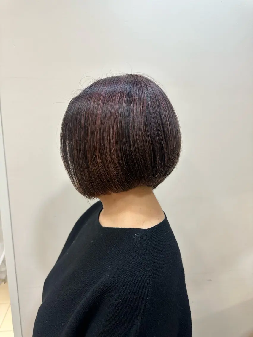 ショート ショートボブ ボブ ショートヘア 鈴木 美咲のヘアスタイル