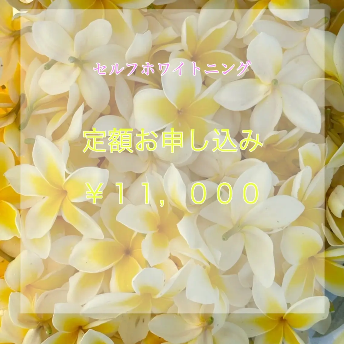 <コスパ最強*大好評>定額通い放題コース🦷🌿 セルフホワイトニングの写真
