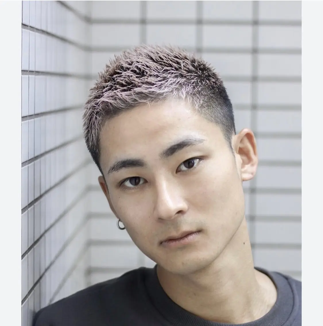 ソフモヒカットの写真