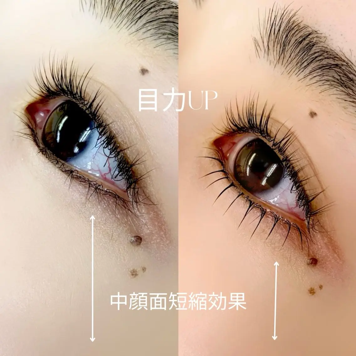 マツエク・マツパ Onze Yukinaの眉毛・アイブロウイメージ