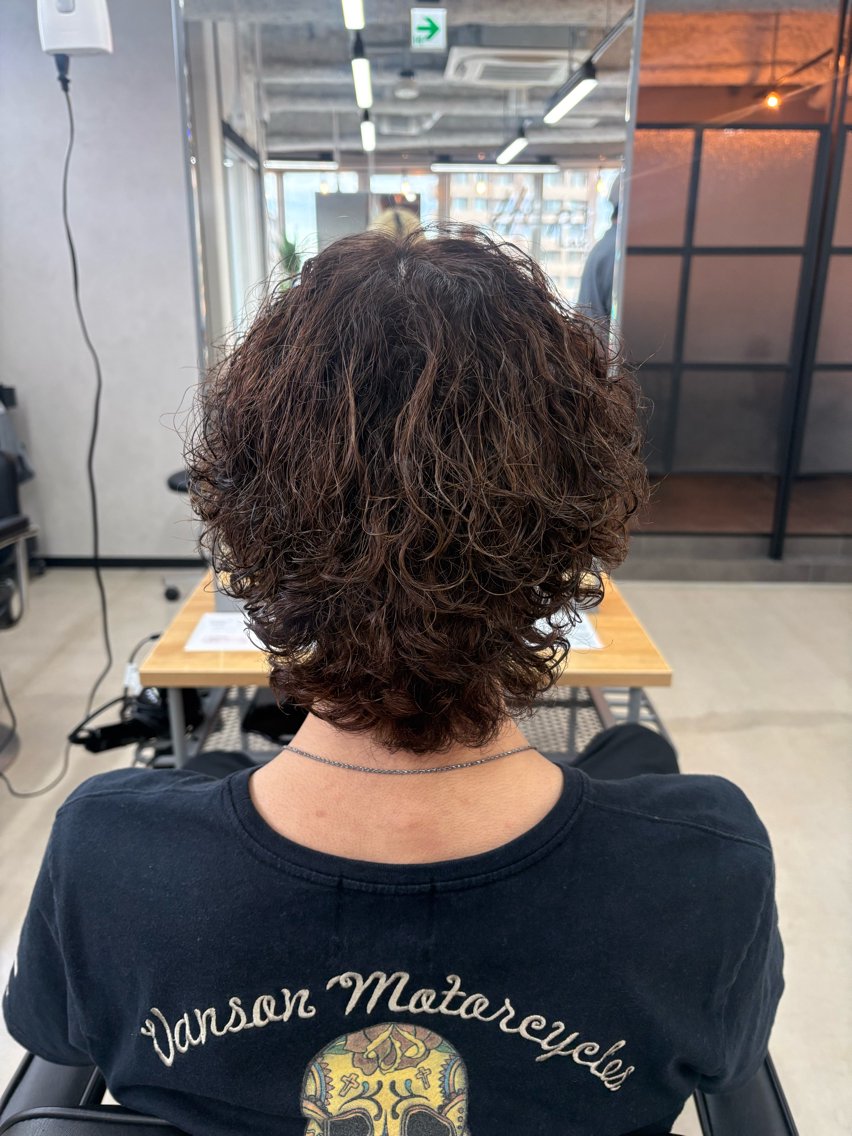 パーマ メンズ メンズパーマ プードルパーマ プードルパーマ メンズヘアの達人 ケミカル光のヘアスタイル