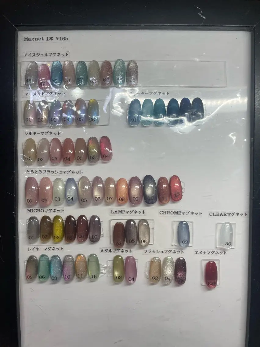 ネイル マグネットネイル 安藤 麗華のネイルデザイン