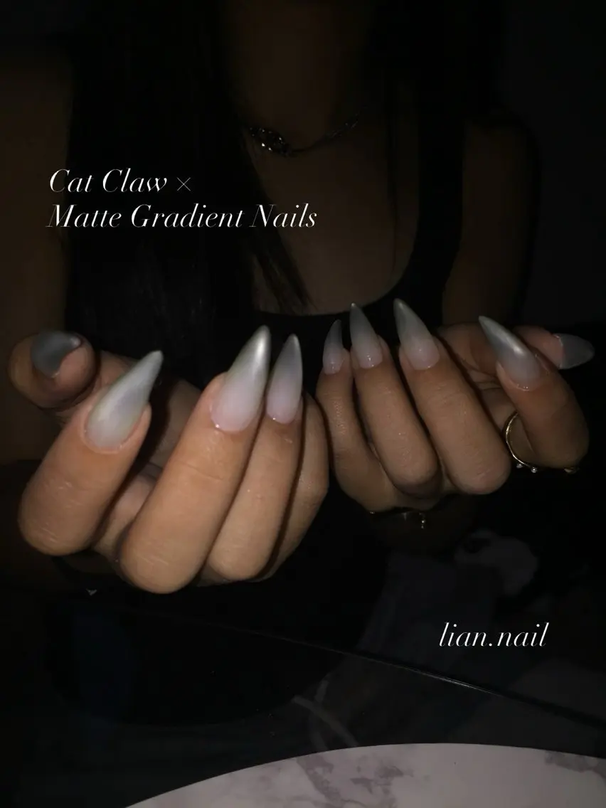 ネイル グラデーション マグネットネイル マットネイル ハンドネイル Lian nailのネイルデザイン