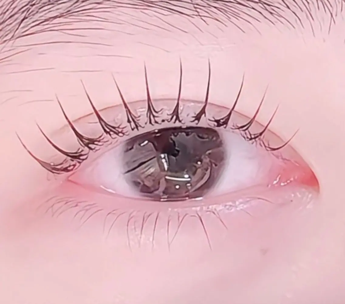 マツエク・マツパ マツパ Melty Eye Lash🌟新宿店のマツエク・マツパデザイン