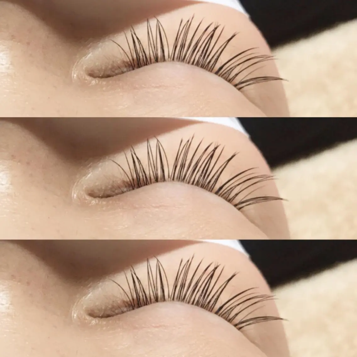 マツエク・マツパ 《eyelash ｉｉｔｅ》森のマツエク・マツパデザイン