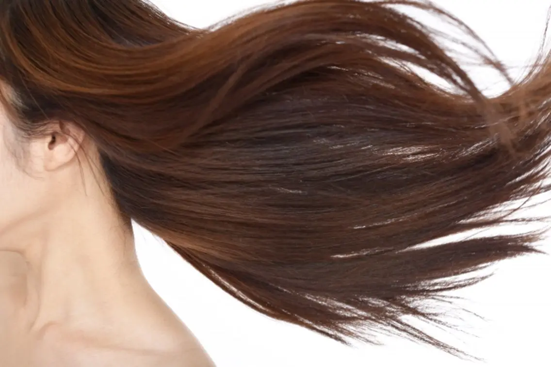 ヘアカラー全体染めLの写真