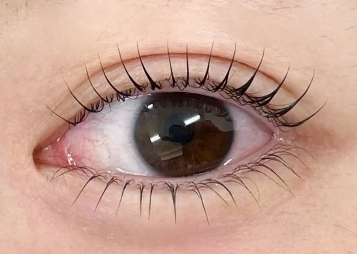 マツエク・マツパ 🎀眉毛Wax モデル募集🎀の眉毛・アイブロウイメージ
