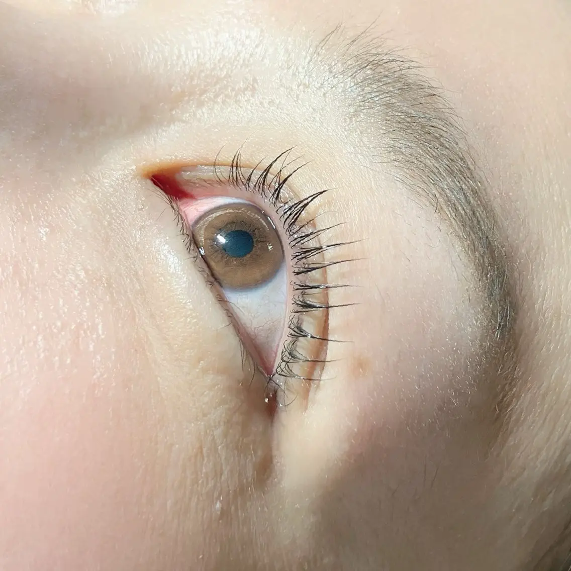 マツエク・マツパ マツパ ∞favo∞ eyelash🏝️のマツエク・マツパデザイン