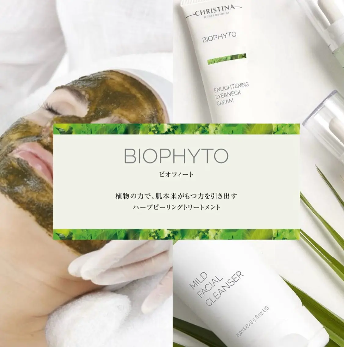 🆕BIOPHYTO🌿《ハーブピーリング肌毛穴・ニキビ・ニキビ跡》の写真