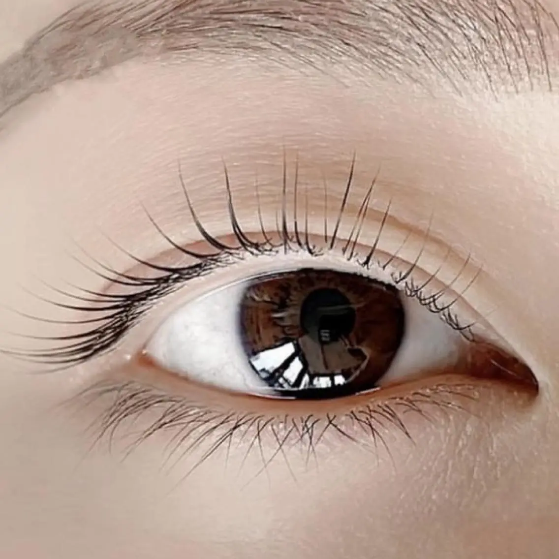 マツエク・マツパ 🔰Eye Risの眉毛・アイブロウイメージ